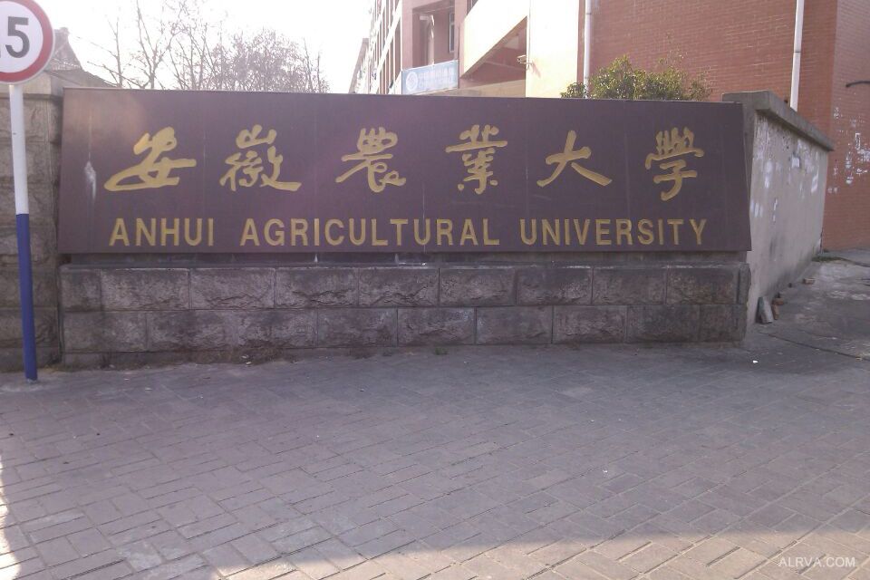 安徽農(nóng)業(yè)大學(xué)資環(huán)學(xué)院采購(gòu)凱氏定氮儀