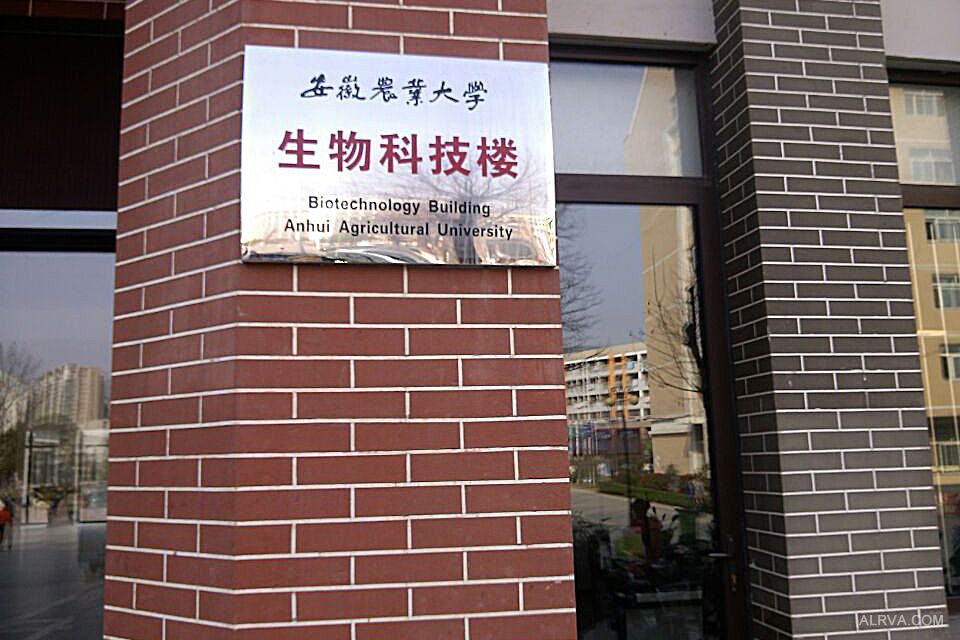安徽農(nóng)業(yè)大學(xué)資環(huán)學(xué)院采購(gòu)凱氏定氮儀